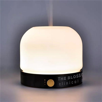Usb Desk Diffuser LED Rechargeable USB Portable Mini Desktop Mist Diffuser